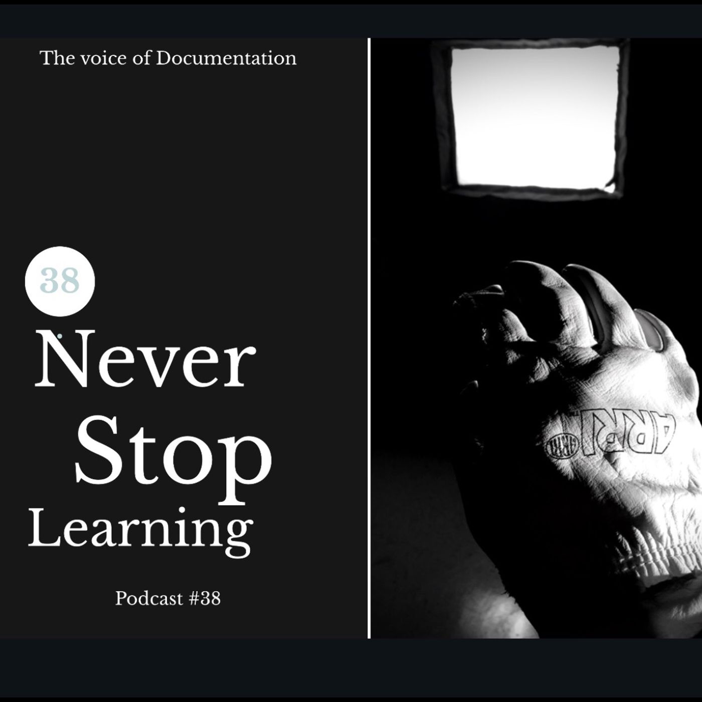 The Voice Of Documentation