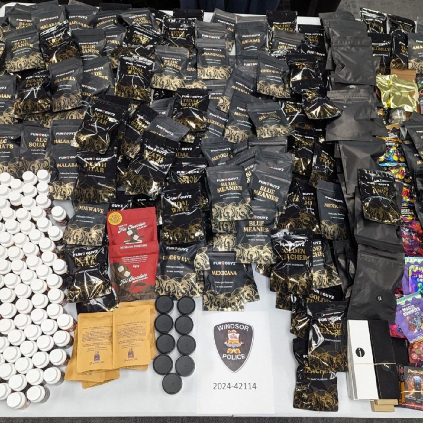 Downtown magic mushroom store raided, again episode artwork