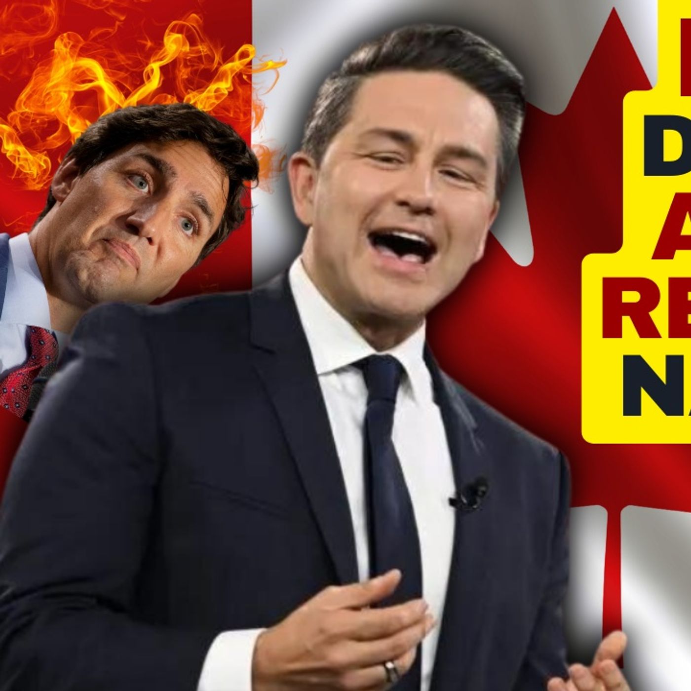 Pierre Poilievre DESTROYS Liberal Activist Journalist