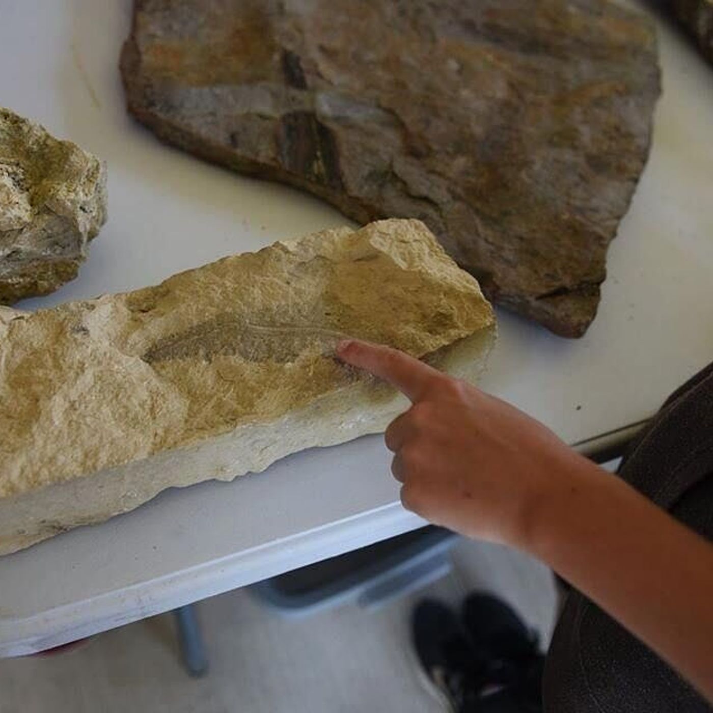 Illinois Valley - Shaw Local