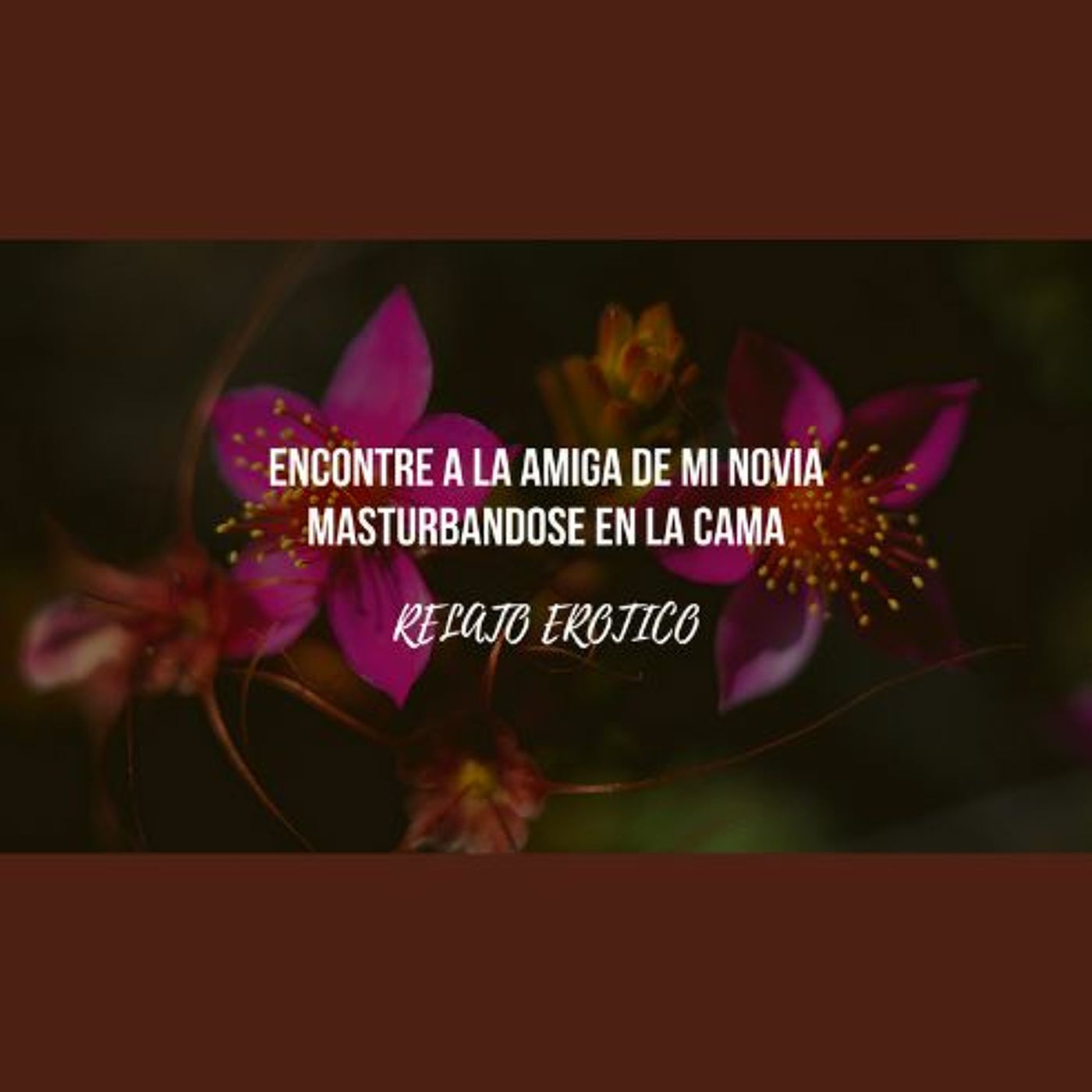 Relato Erotico - Encontre a la Amiga de Mi Novia Masturbandose en la Cama