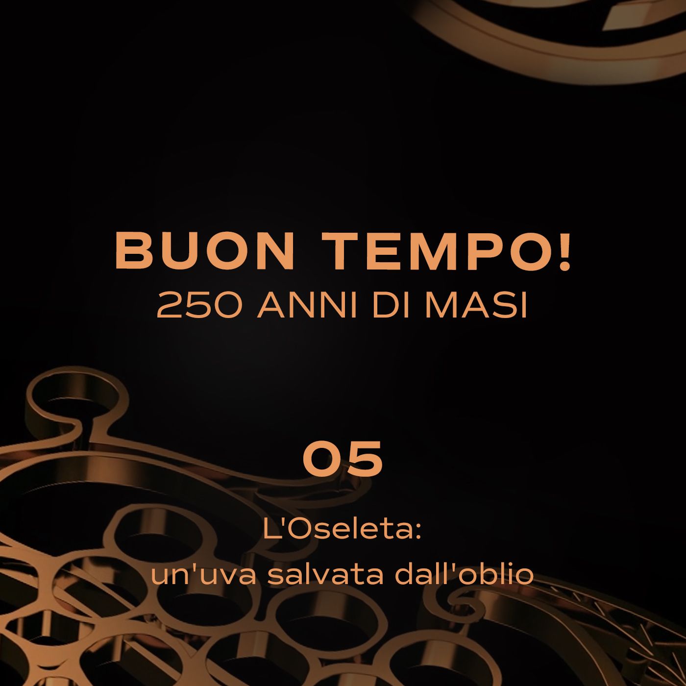 Buon tempo! 250 anni di Masi