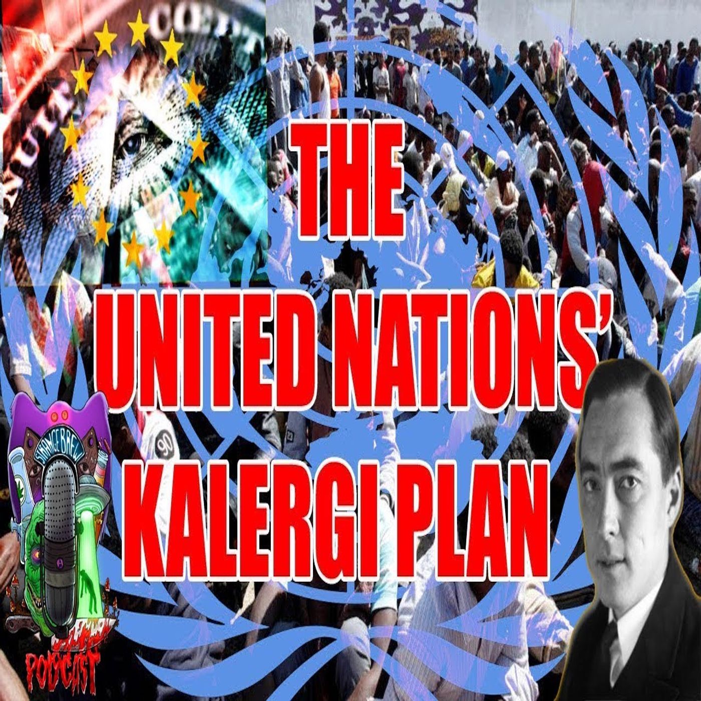 THE KALERGI PLAN | K*LL WHITEY AGENDA!