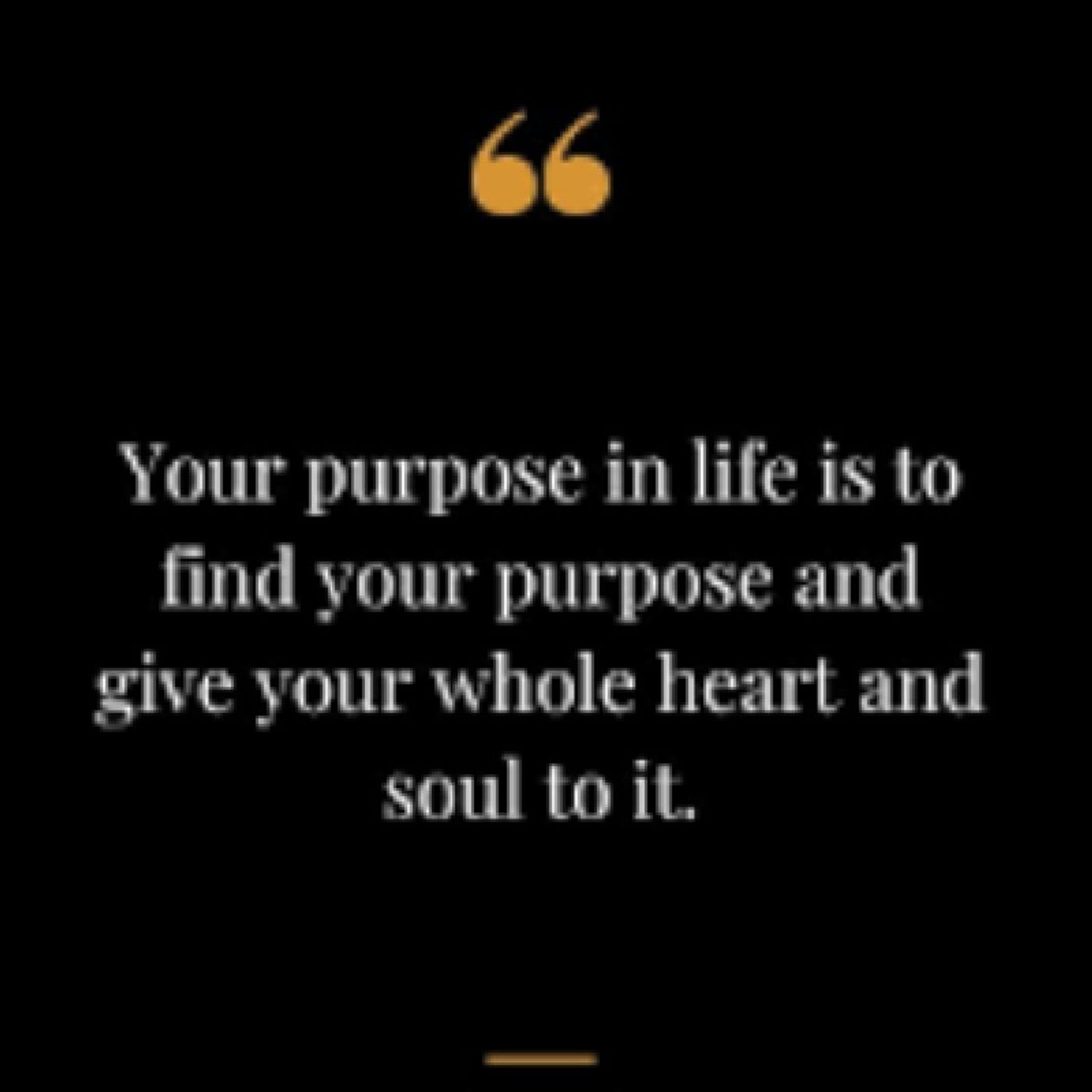 Episode 67 - Are You Living In Your Purpose episode artwork