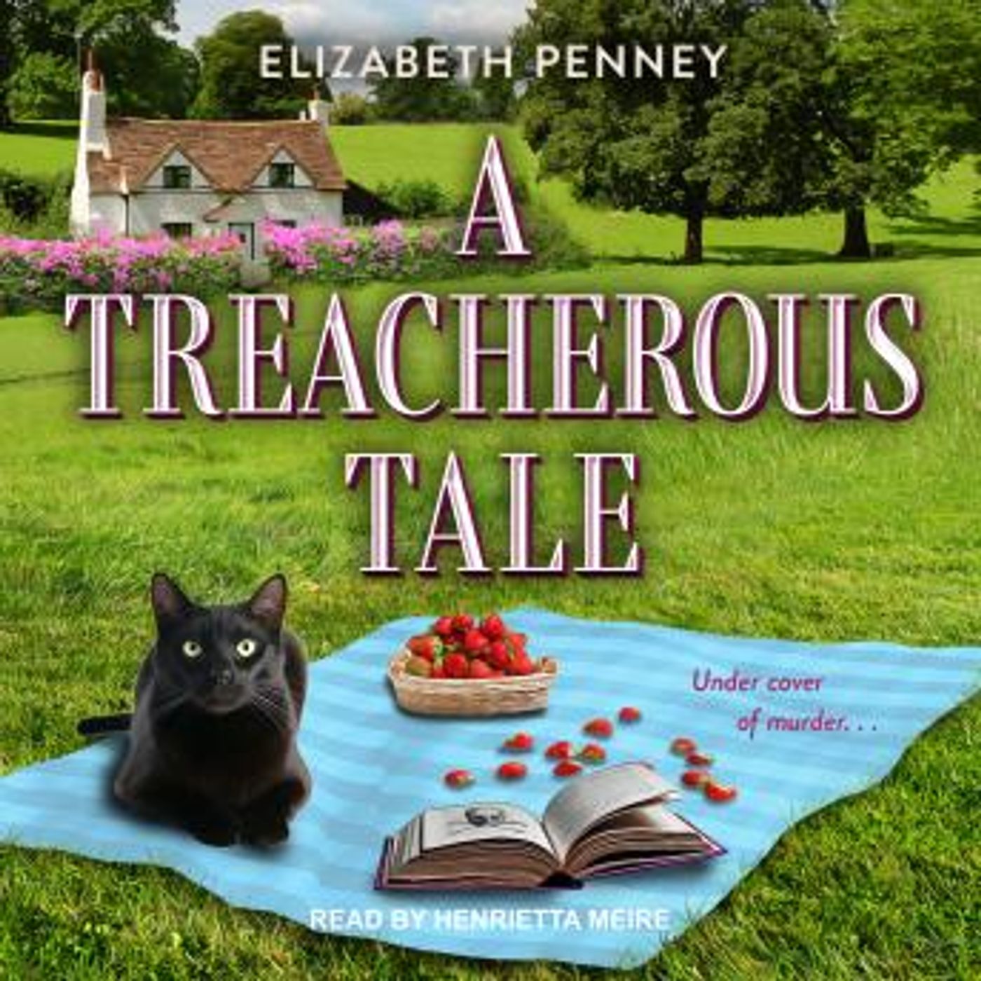Listen to Top Full Audiobooks in Mystery, Thriller & Horror, Police & Detective