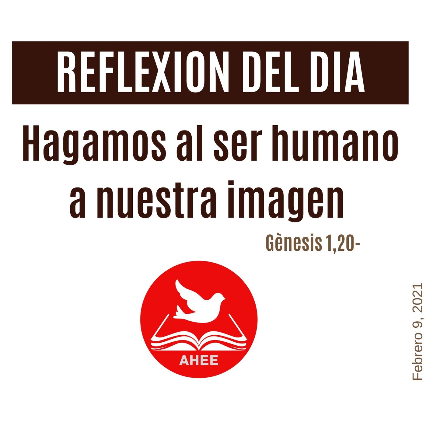 Reflexiones  del día