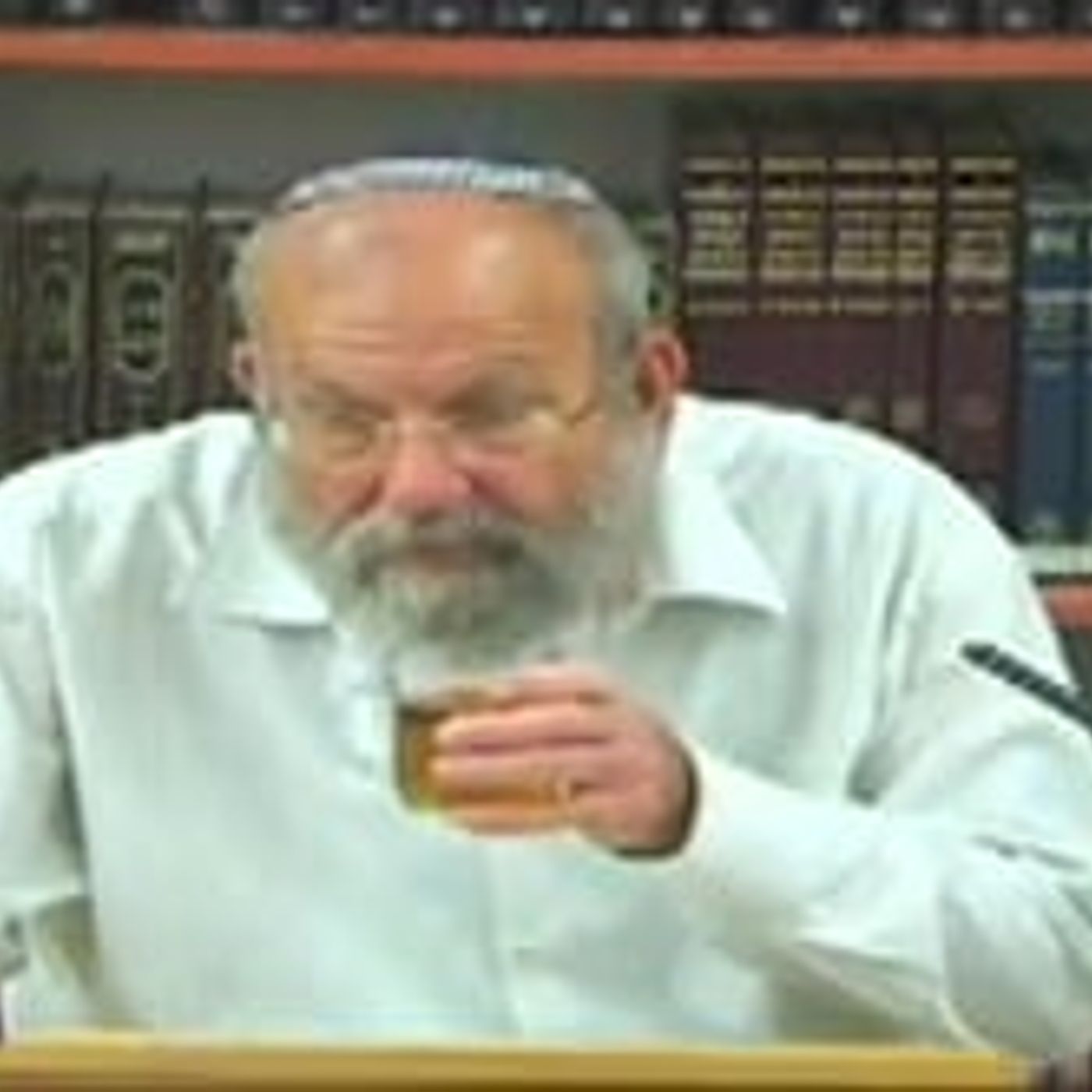 מגלגלים זכות על ידי זכאי וחובה על ידי חייב – לפרשת בהעלותך | הרב אלישע וישליצקי זצ"ל | תשעב episode artwork