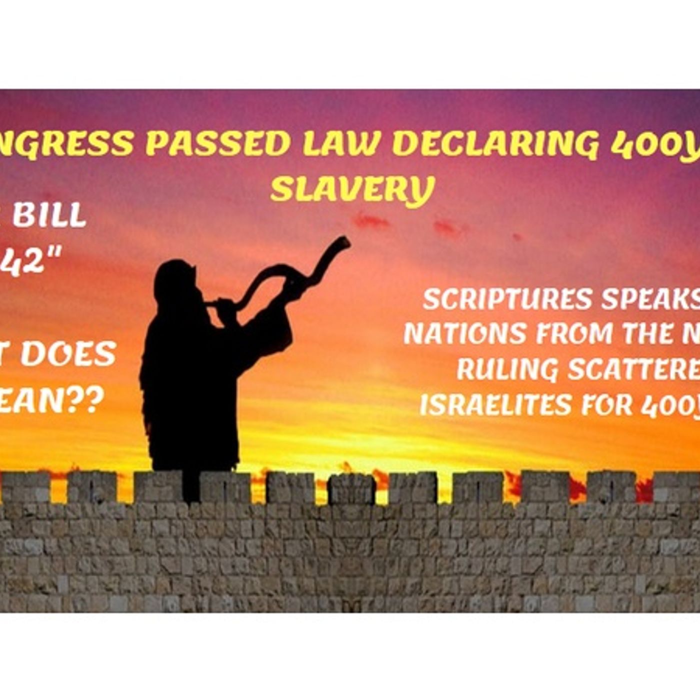 Congress passed HR 1242 marking 400 yr. Slavery in year 2019 episode artwork