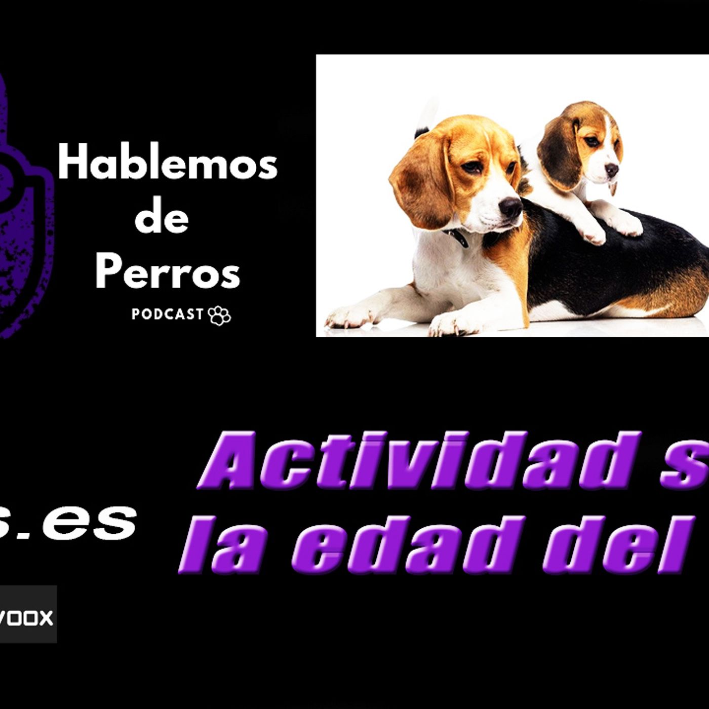 Hablemos de perros