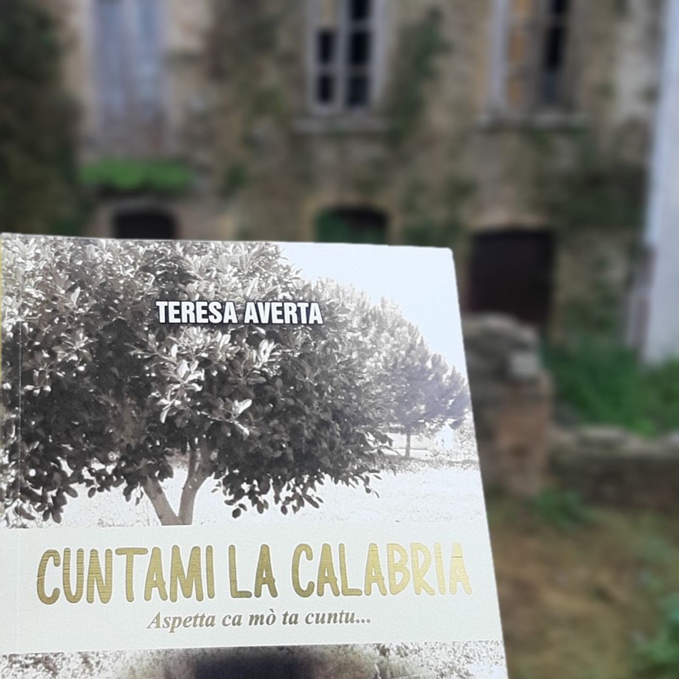 CANTA CALABRIA MIA -TESTO TRATTO- DAL LIBRO CUNTAMI LA CALABRIA DI TERESA AVERTA episode artwork