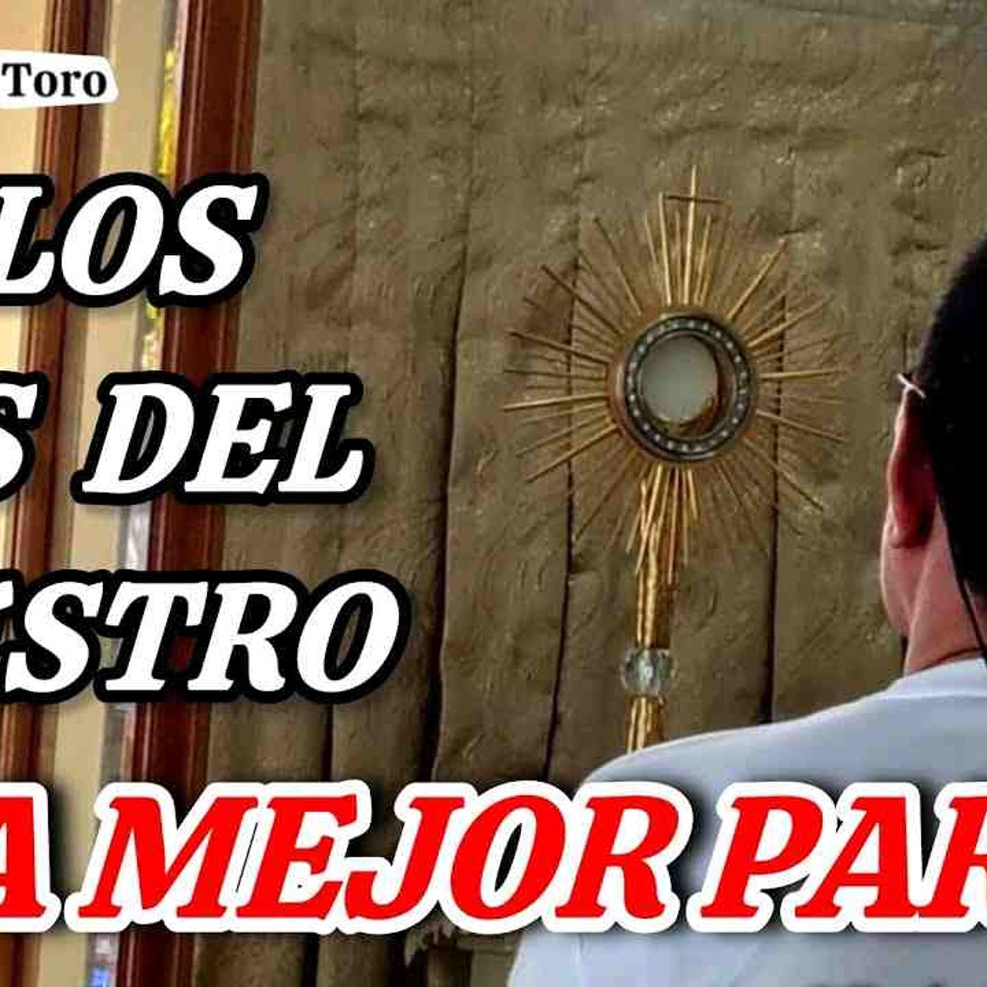 75-26_ Lo Que Nadie Nos Puede Quitar_ Adoración al Santísimo con el Padre Luis Toro episode artwork