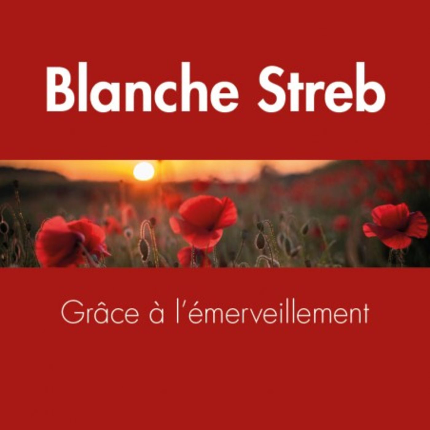 Grâce à l'émerveillement par Blanche STREB