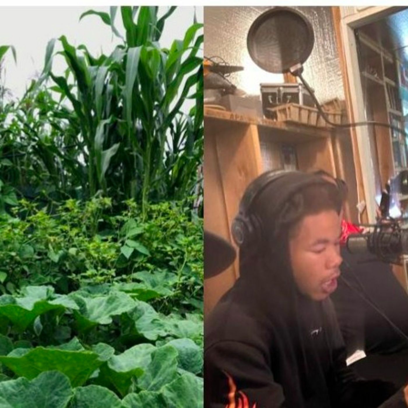 Po Peoples Radio Newz Hour