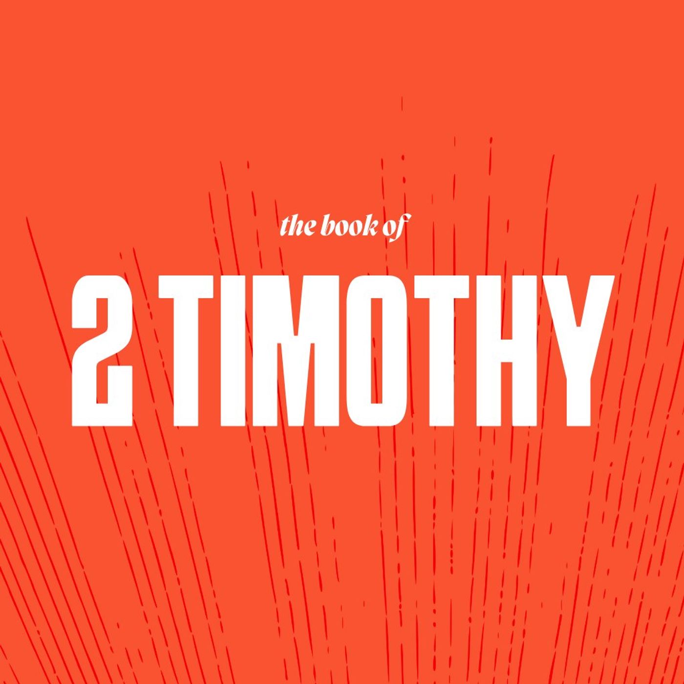 The Timothy Moment episode artwork