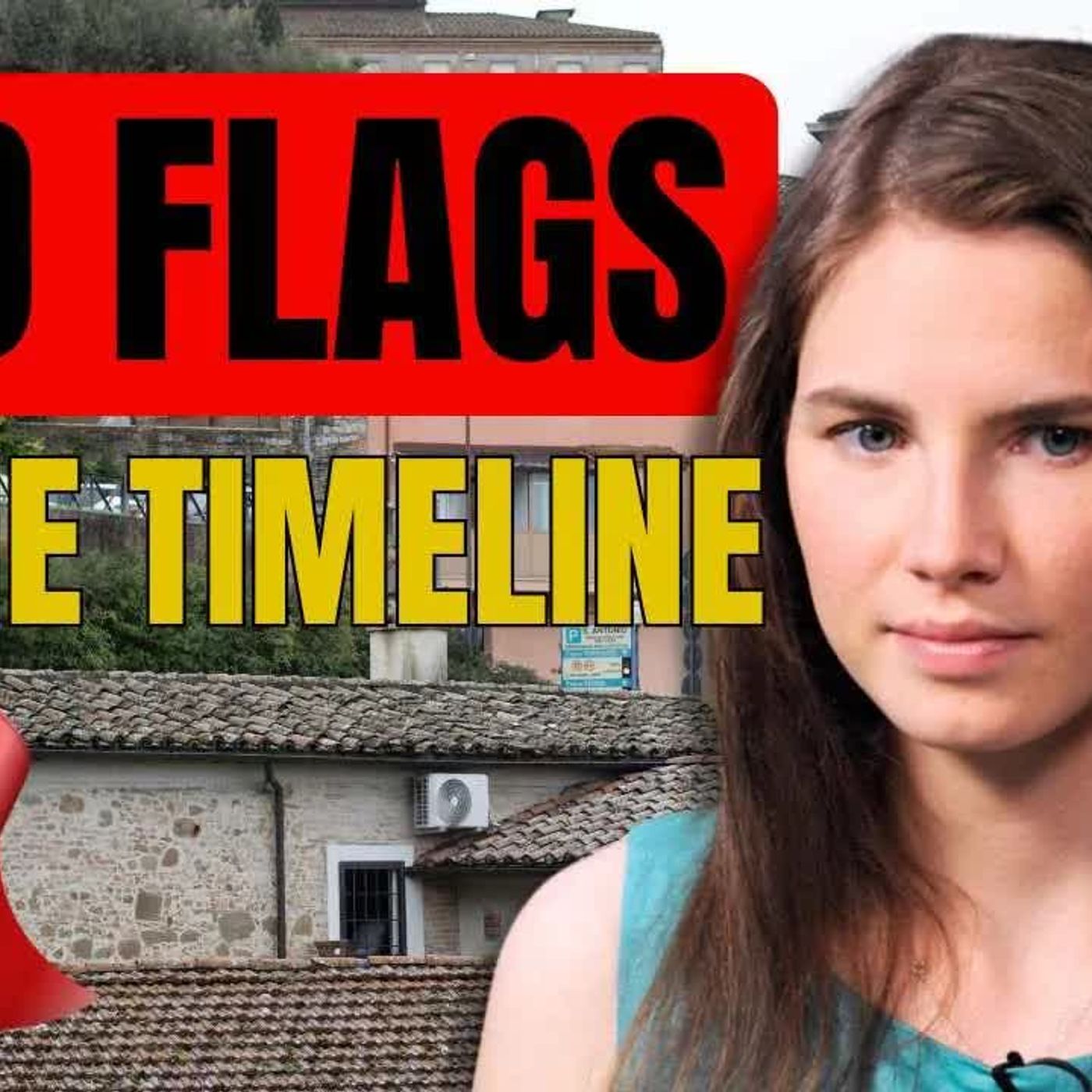 AMANDA KNOX ＂I found my roommate and called the police＂ Five Red Flags Fluttering in the Timeline episode artwork