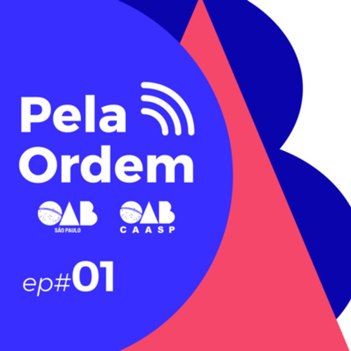 #01 Democracia: modo de usar episode artwork