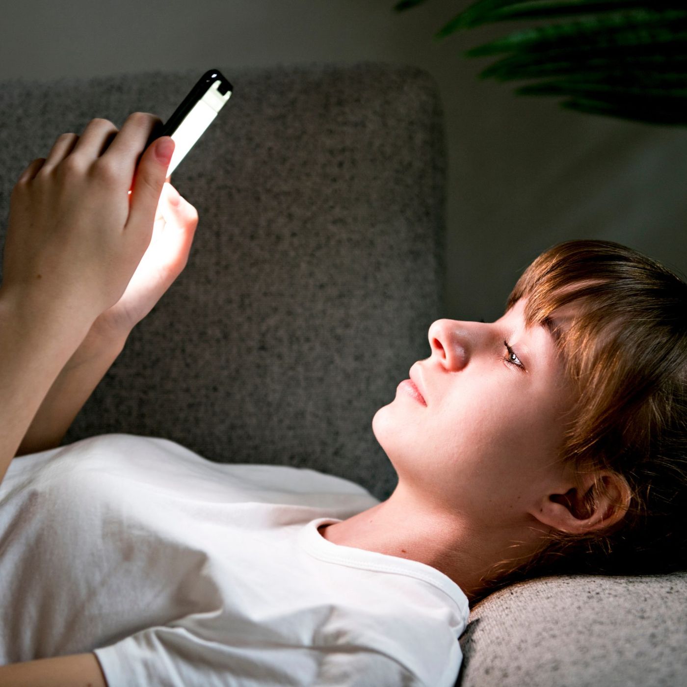 Ensomhed på sociale medier