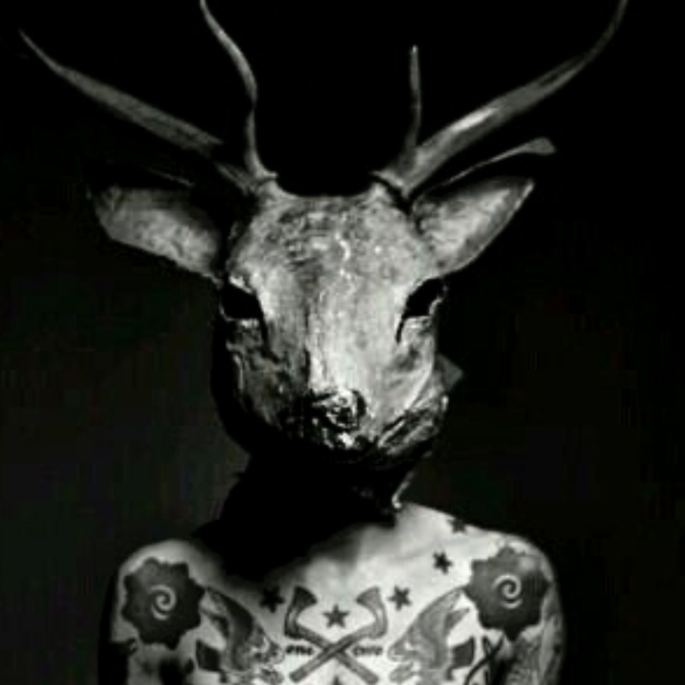 La Bestia En Las Vías Historias De Terror - REDE