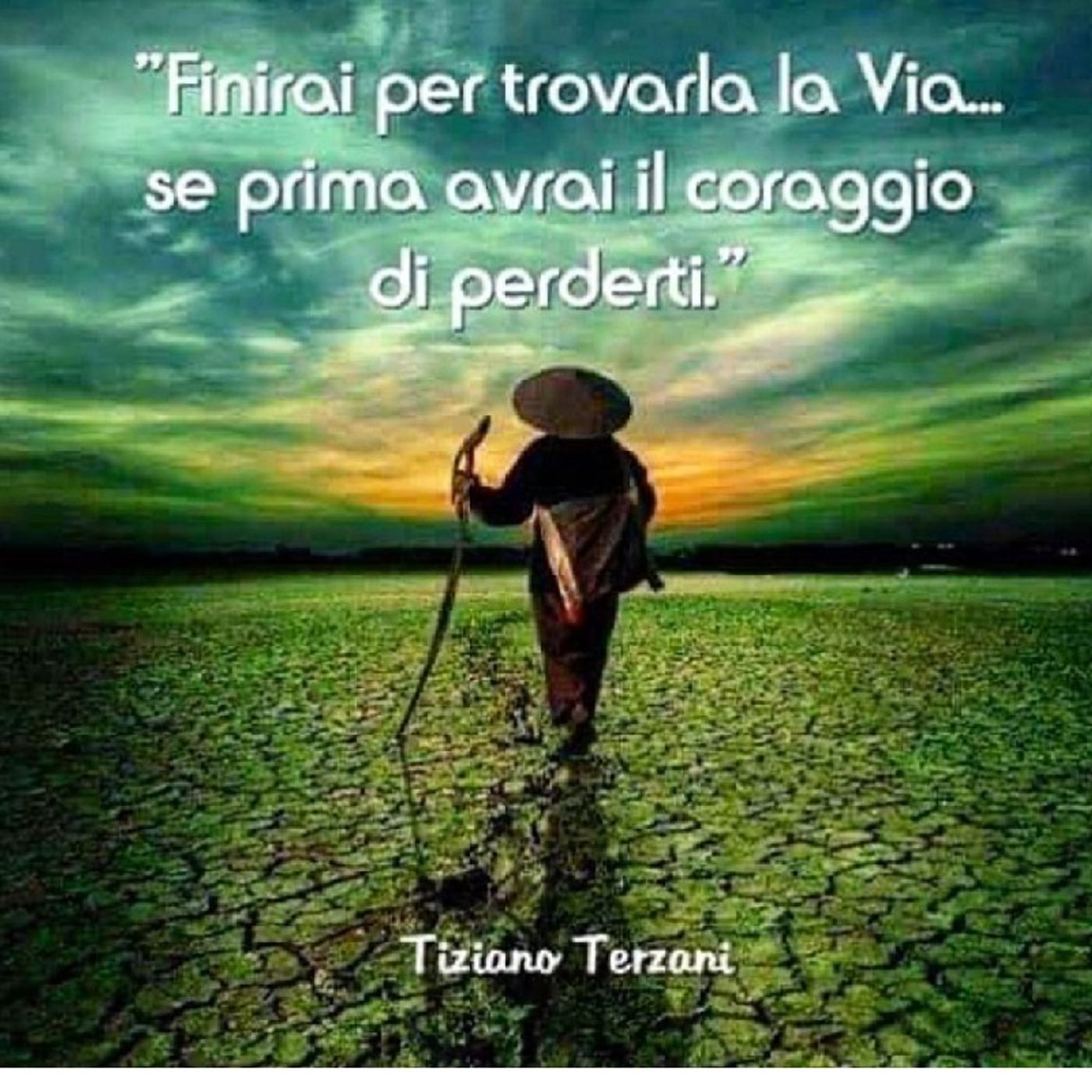 Il Sole Dentro di Carla Alzanavi