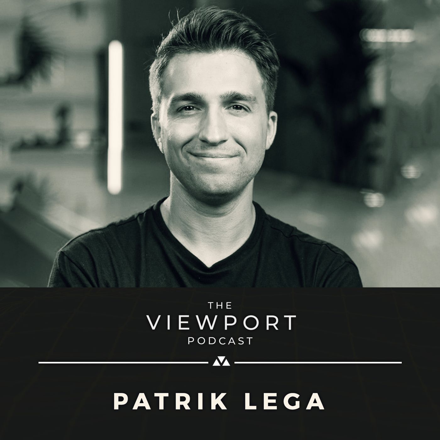 The Viewport Podcast
