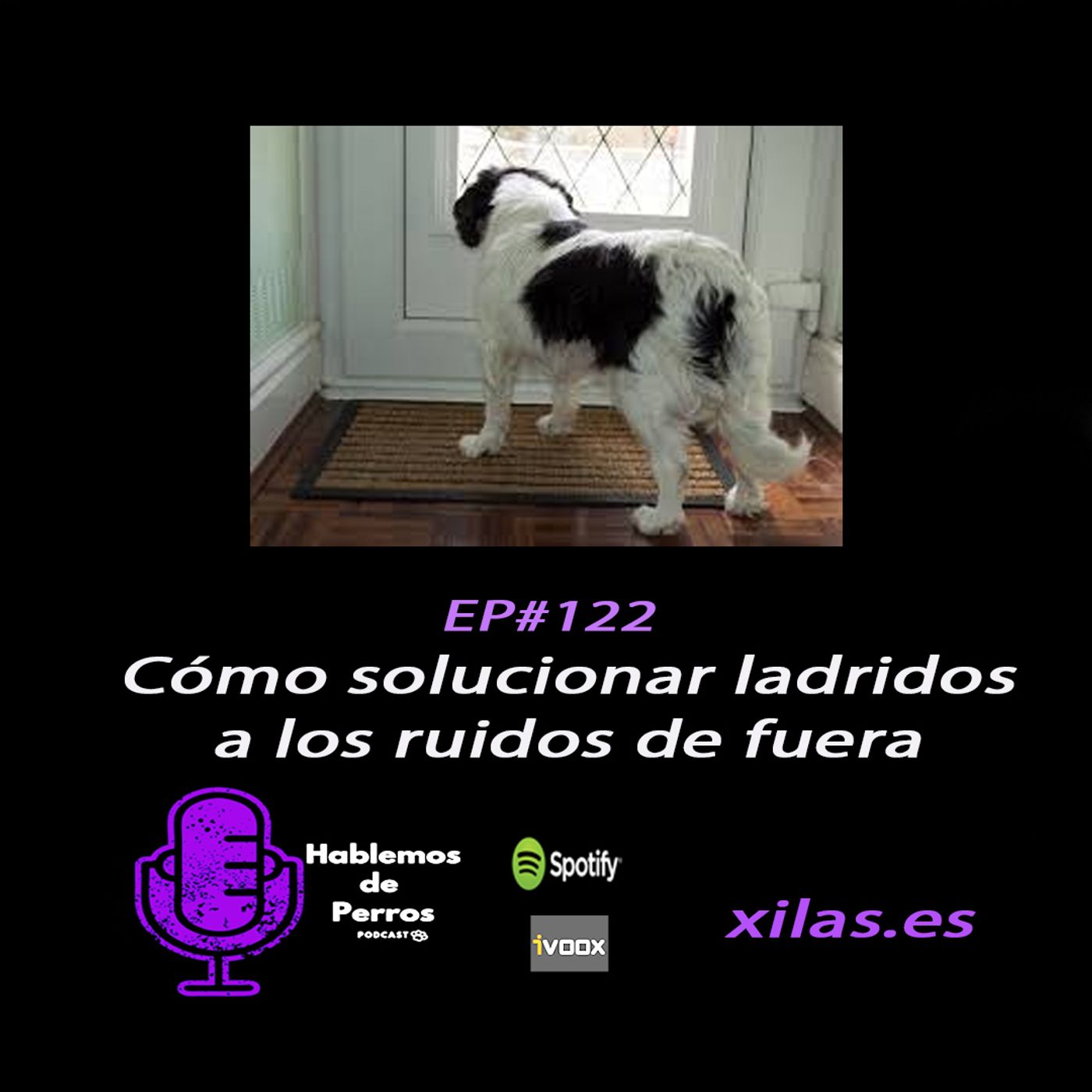 Hablemos de perros