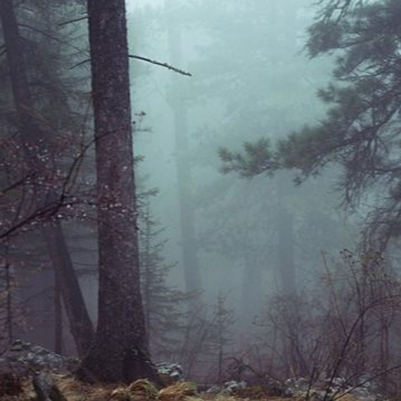 The Nowhere Dispatch