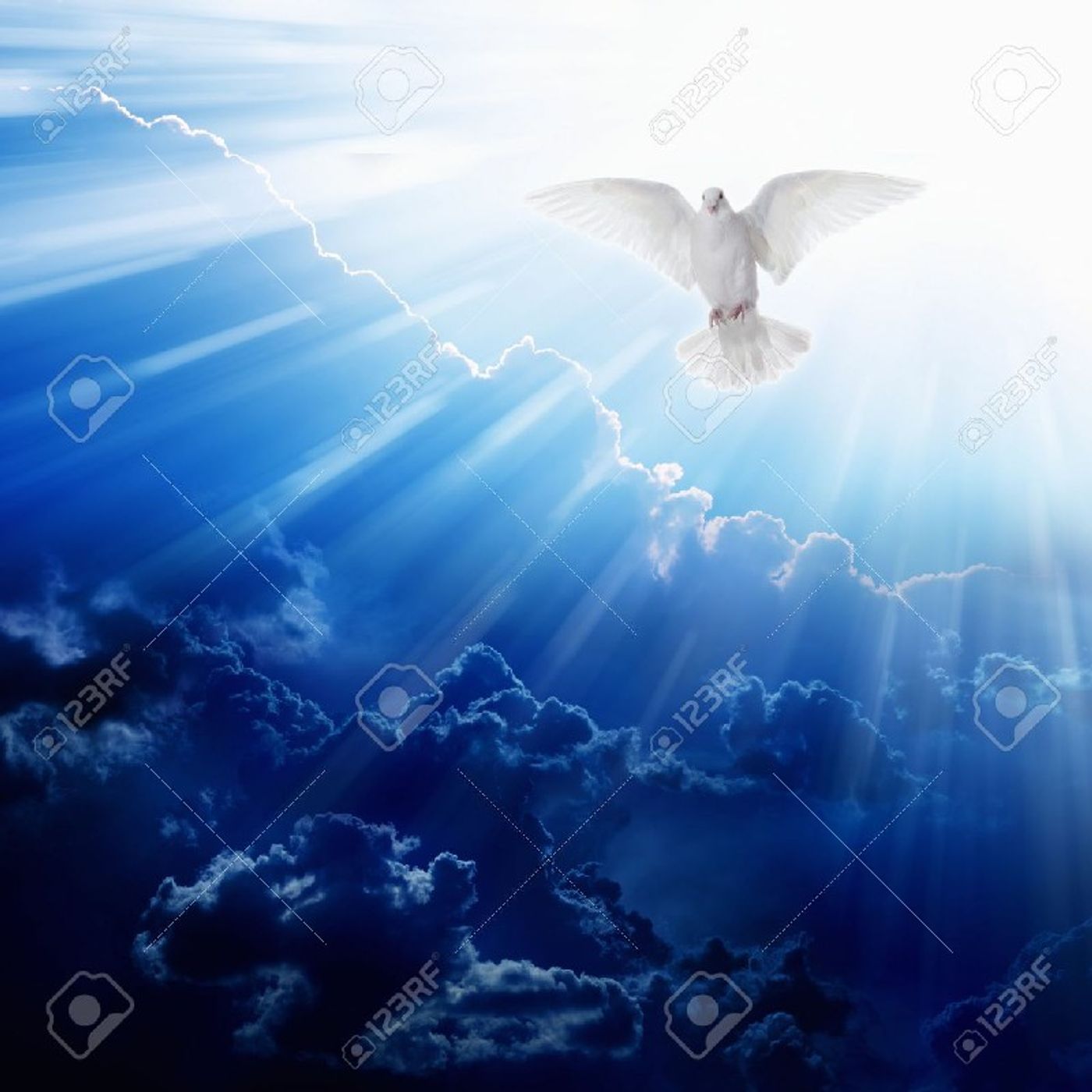 Repent! For The Kingdom Of Heaven Is At Hand episode artwork