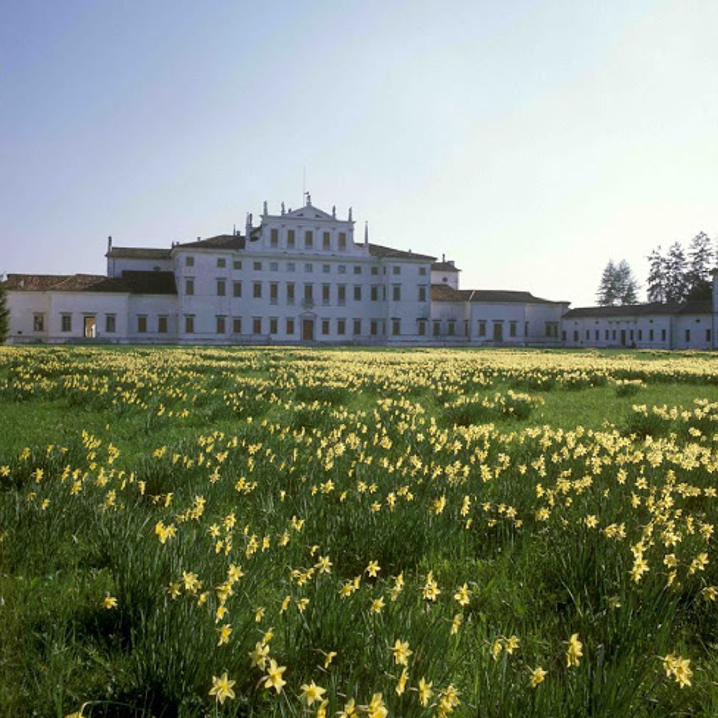 Il diario di Villa Manin