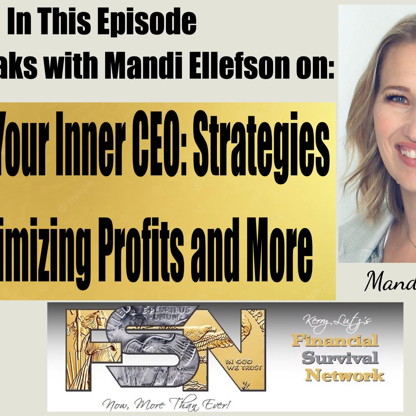 Unleash Your Inner CEO: Strategies for Maximizing Profits and More - Mandi Ellefson #6041