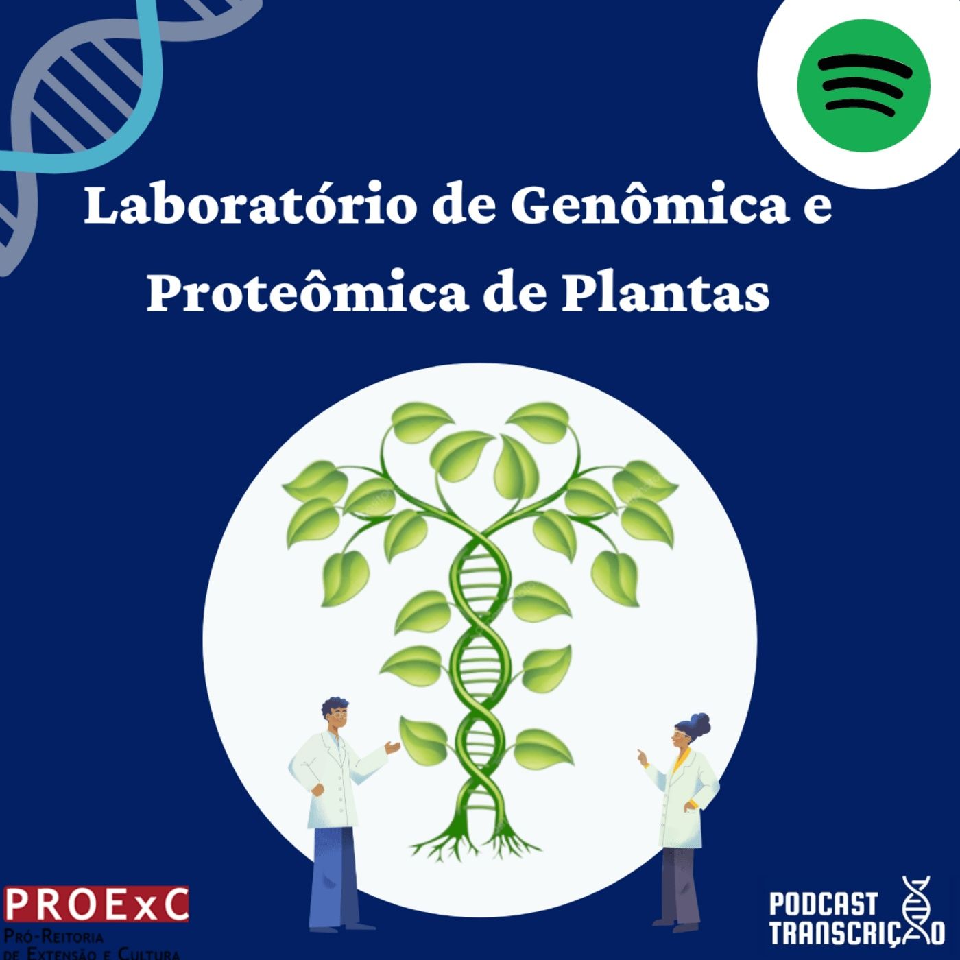Podcast Transcrição
