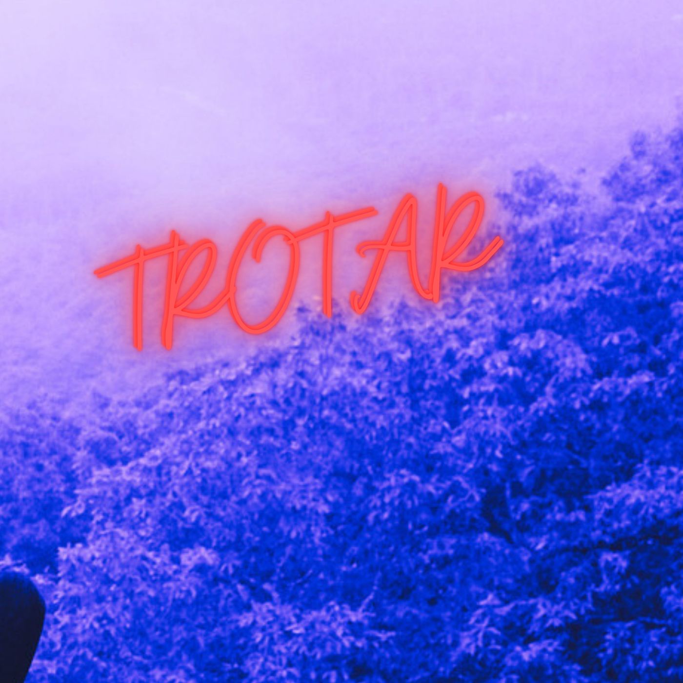 Trotar