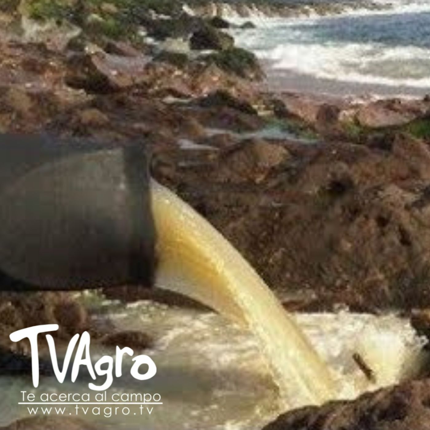 TV AGRO