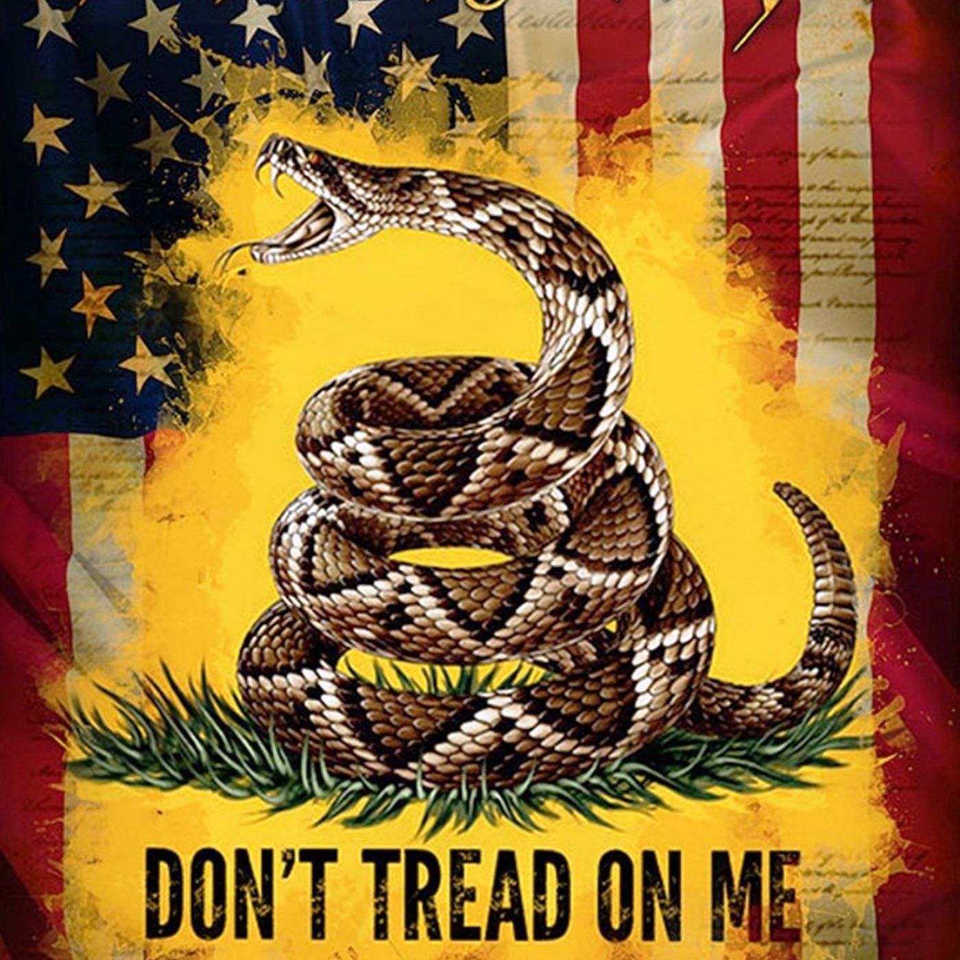The American Rebel