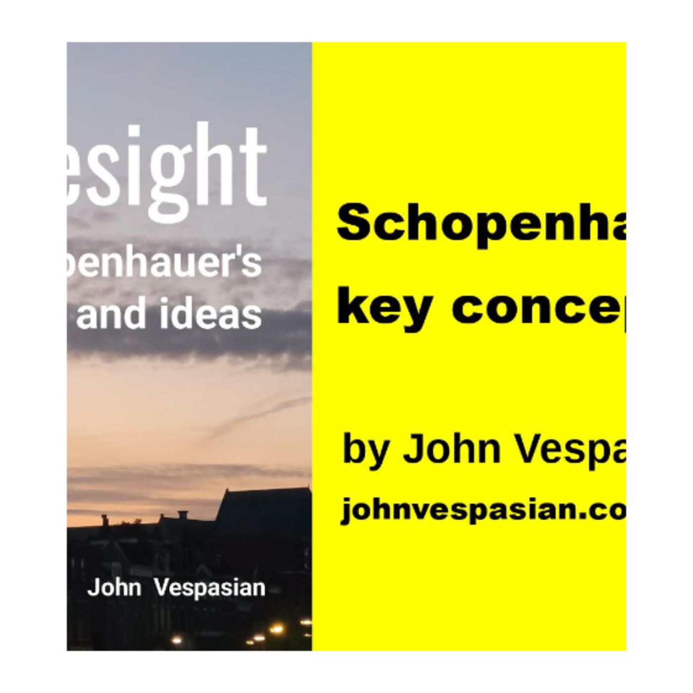 Schopenhauer’s key concepts episode artwork