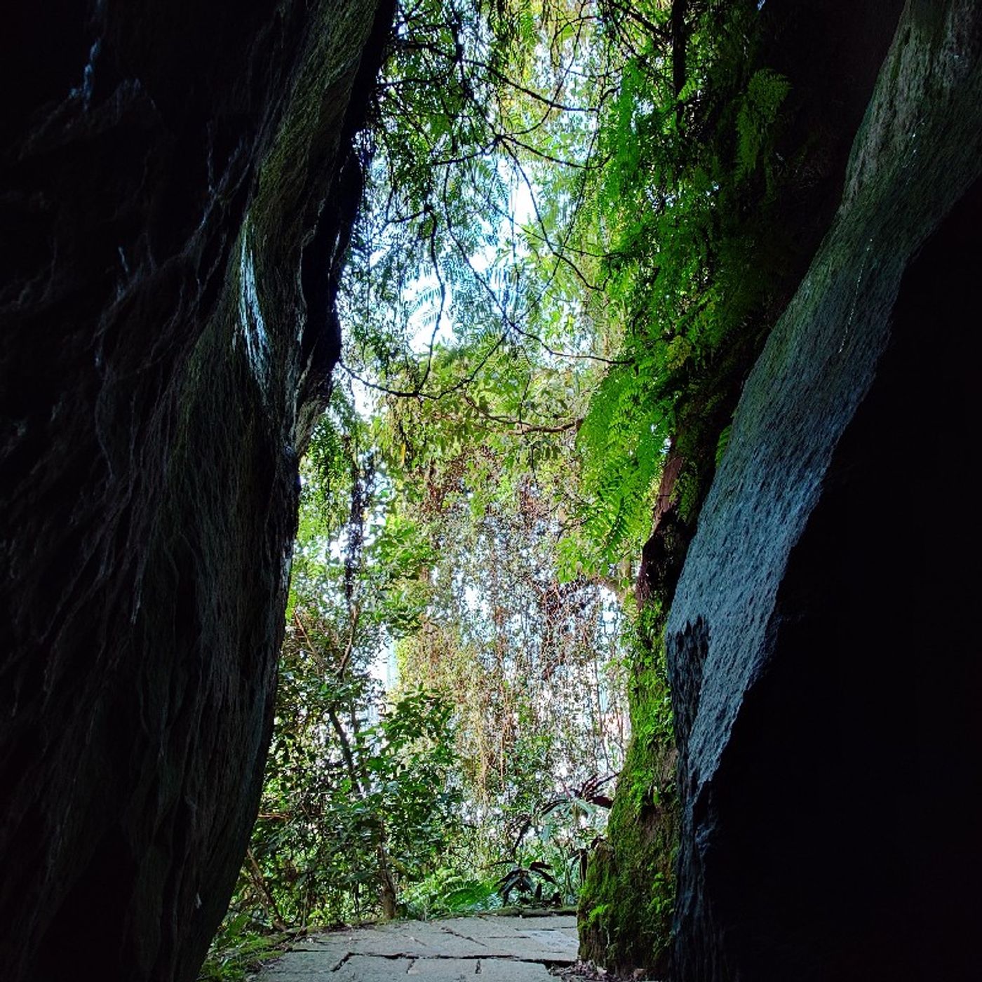 Ep253 - Diane's Tarot Diary: 我的塔羅日記 閒聊•塔羅的目的