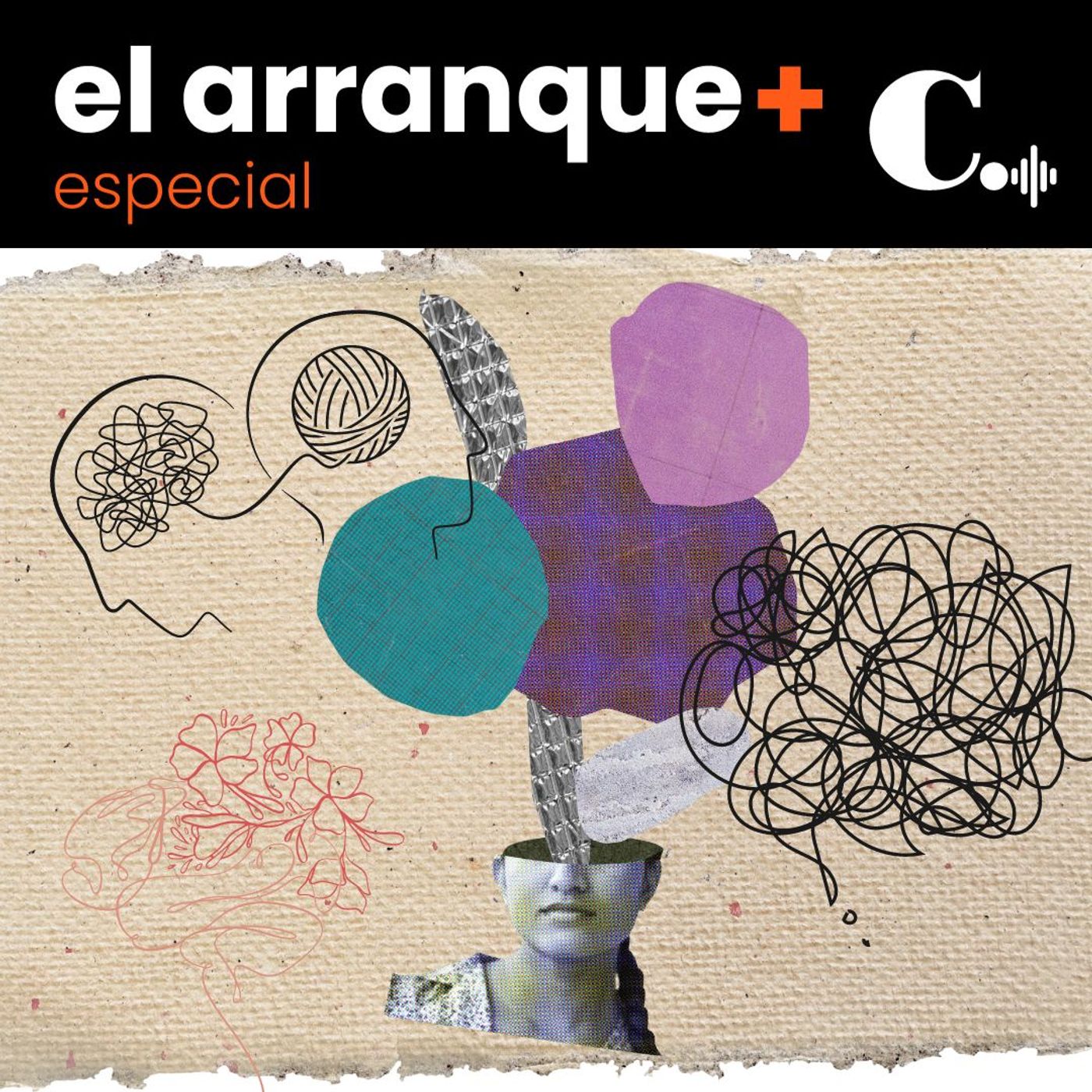 370. La angustia por sobrevivir: relato de una valiente episode artwork