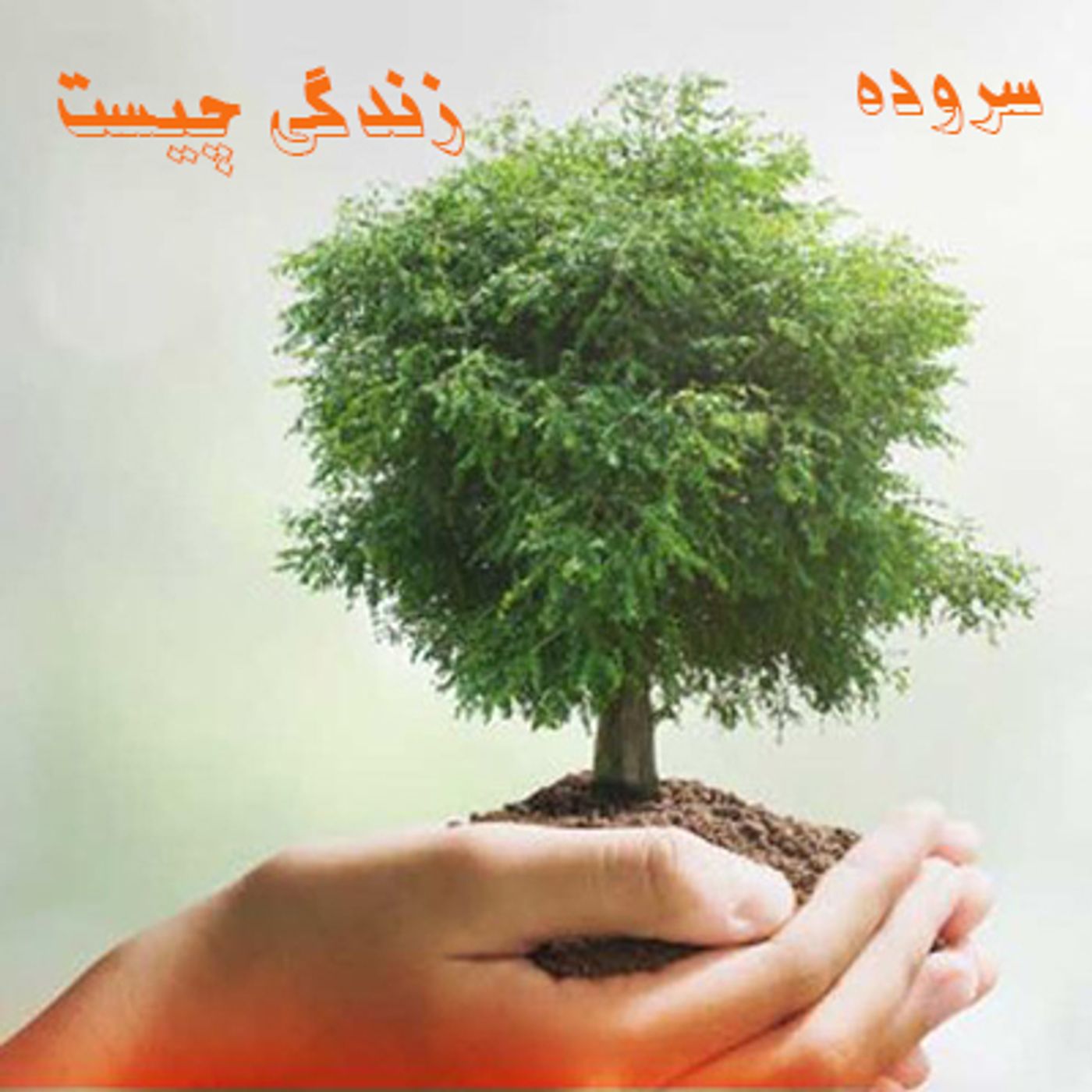 سروده زندگی چیست
