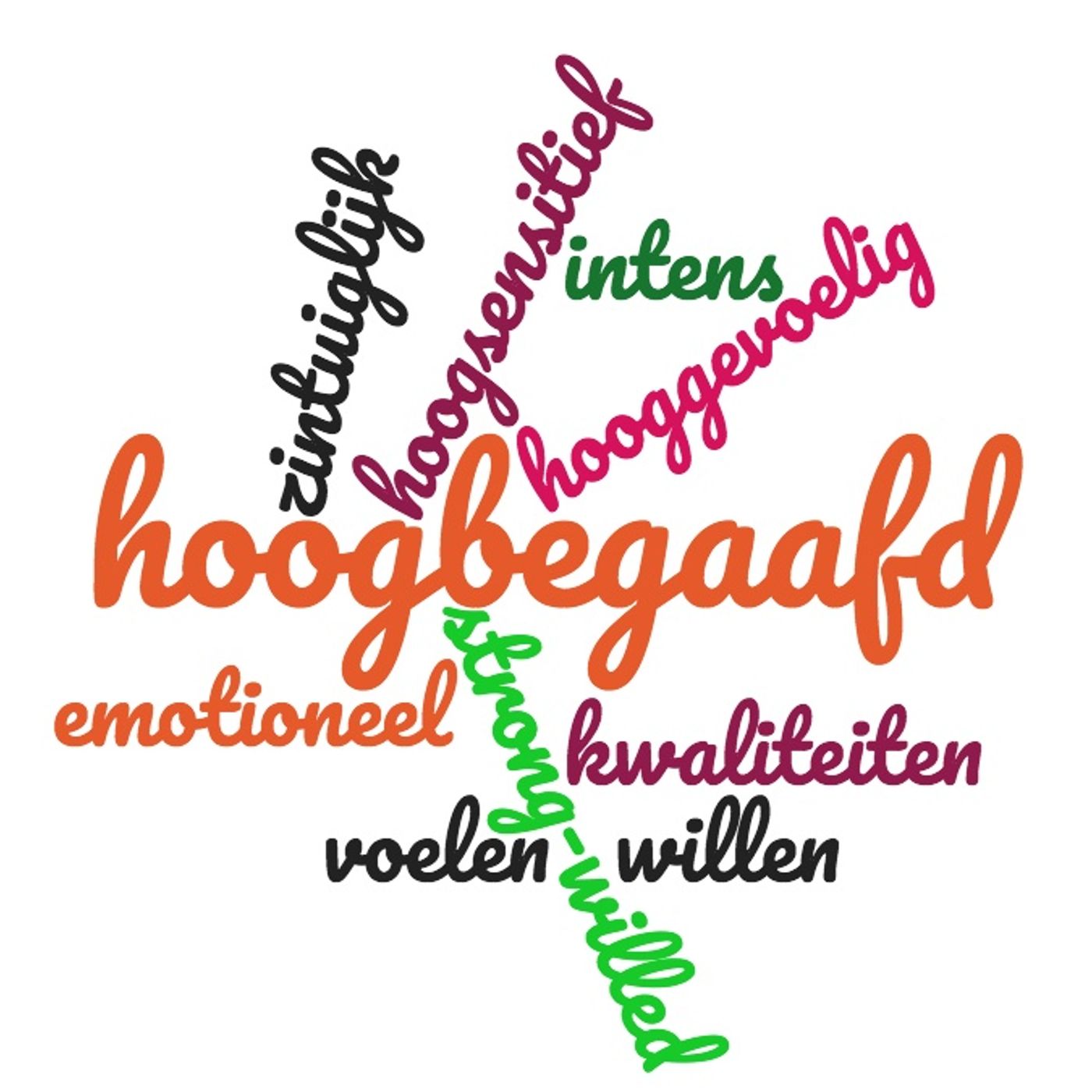 De dag vanmorgen - Groningen1