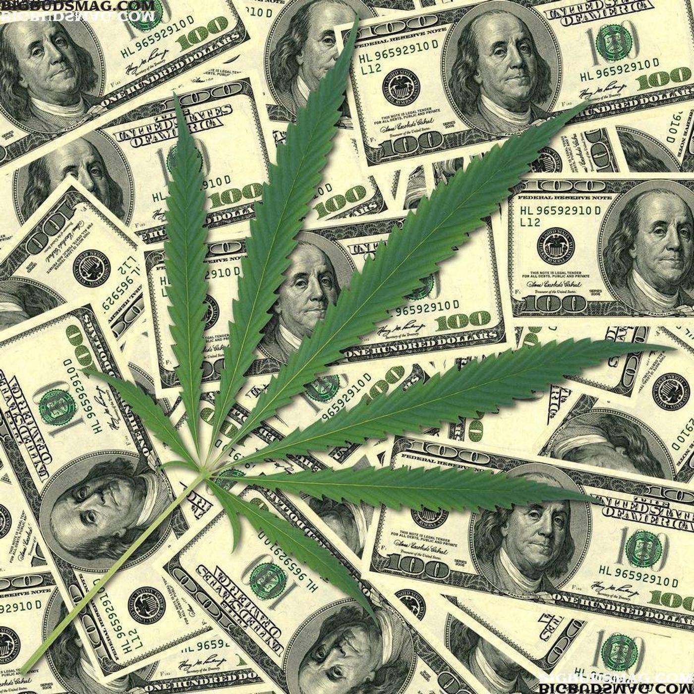 should the minimum wage be increased and should marijuana be legalized? episode artwork