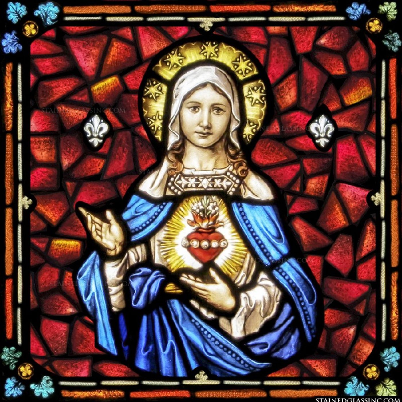 La Reflexión del Día "Dame un Corazón como el Inmaculado Corazón de María" episode artwork