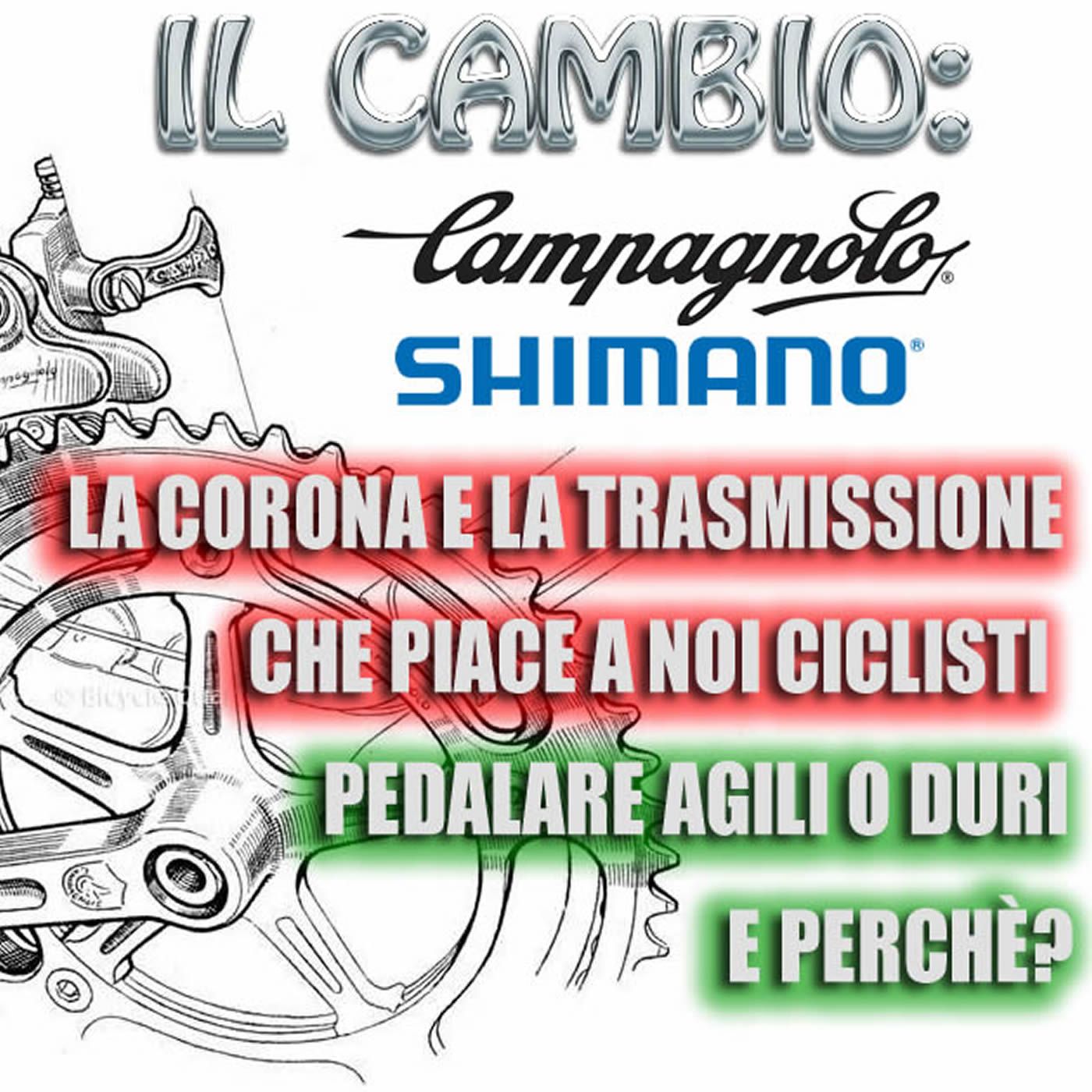 A Ruota Libera... 🚴