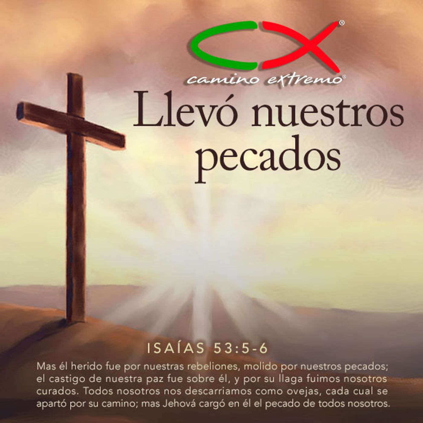 Oración 5 de octubre (Llevó nuestros pecados) episode artwork