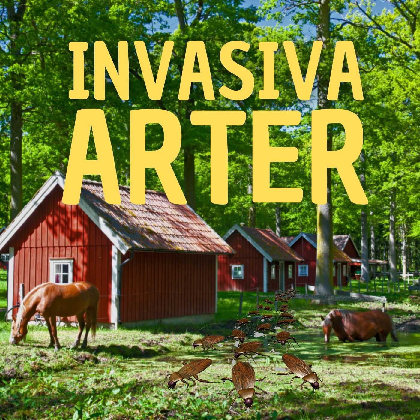 Invasiva arter och hur de hotar mångfalden (klipp) episode artwork