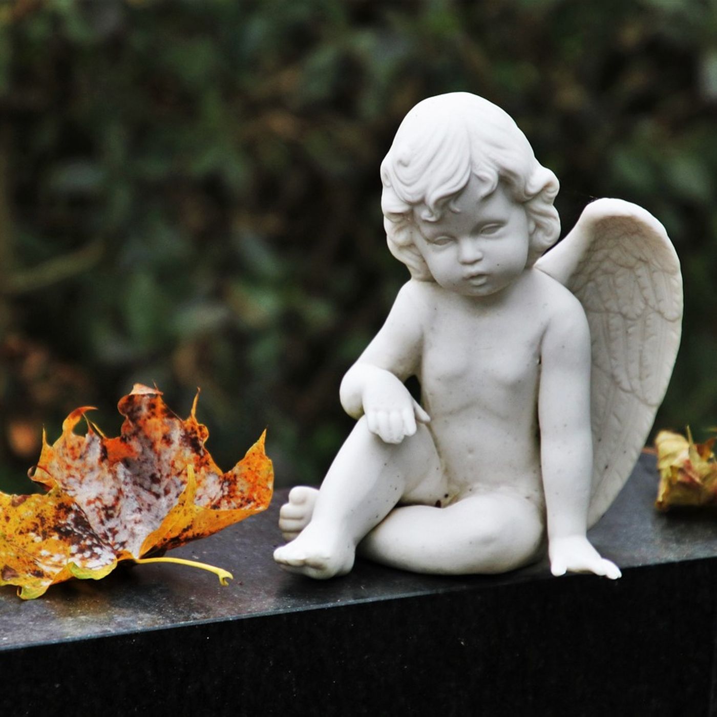 Writing Through Loss: Two Heart Moms' Stories of Healing and Connection Writing Through Loss: Two Heart Moms' Stories of Healing and Connection