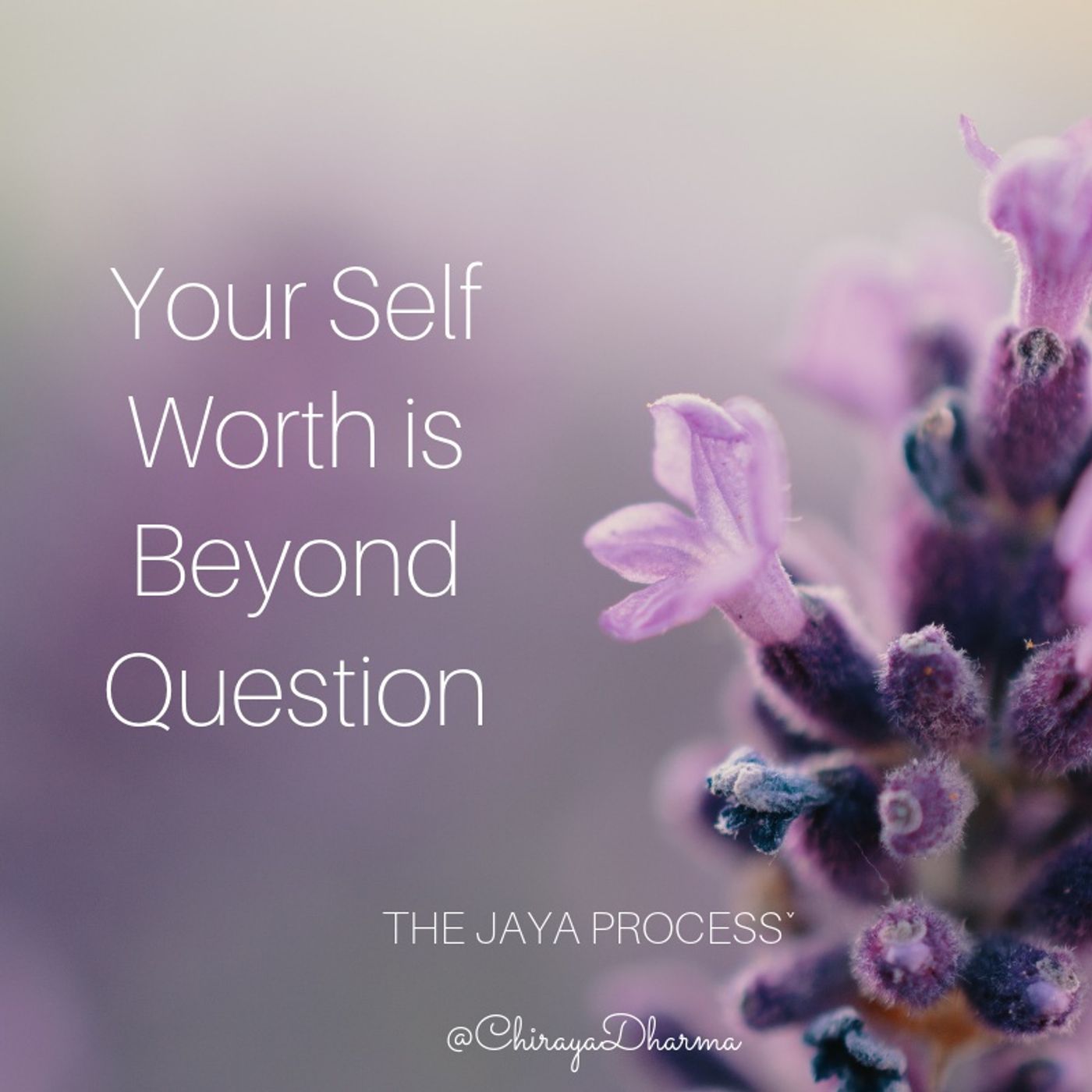 Why Your Self Worth Is Beyond Question episode artwork