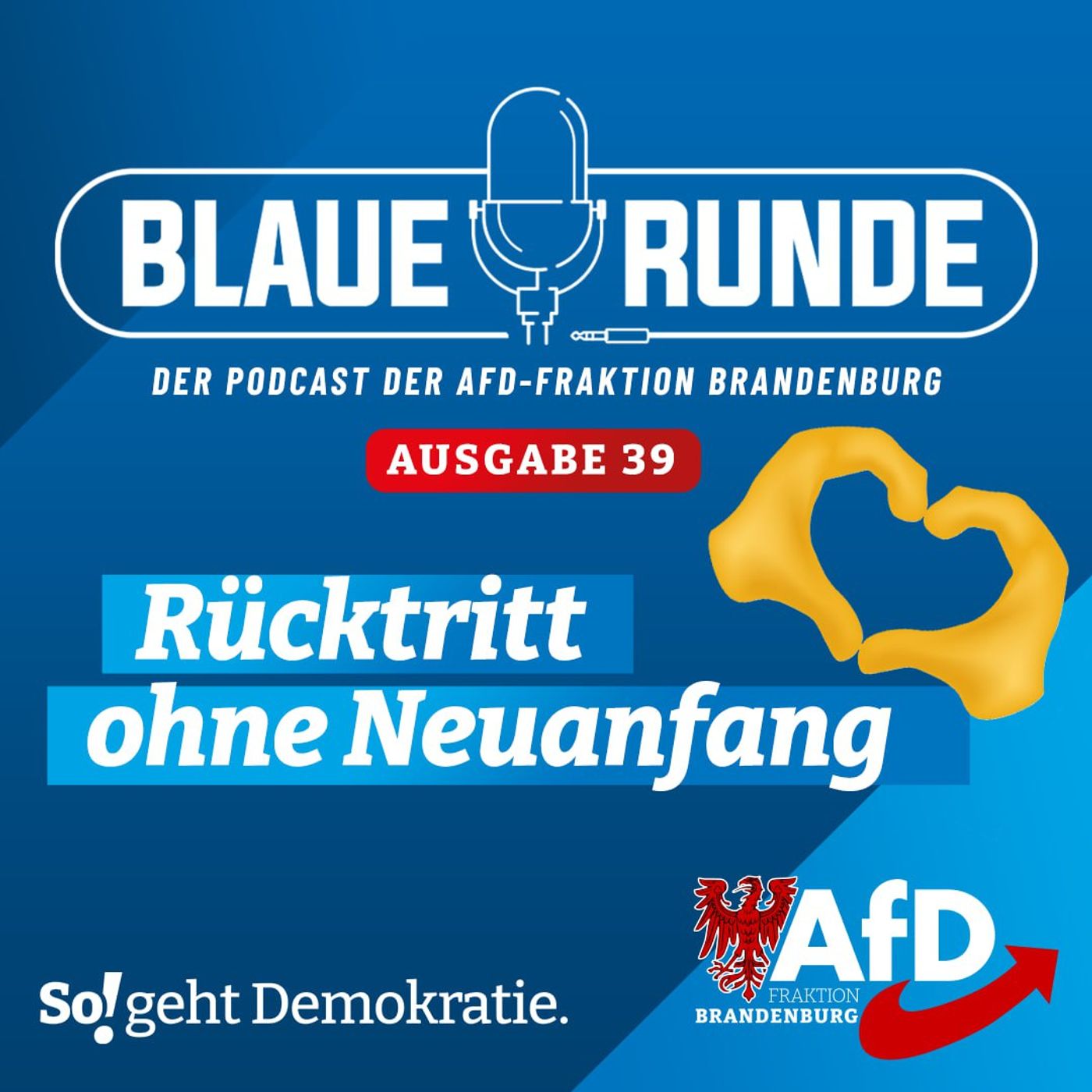 Rücktritt ohne Neuanfang | Die Blaue Runde, Ausgabe 39/23 vom 17.04.2023 episode artwork