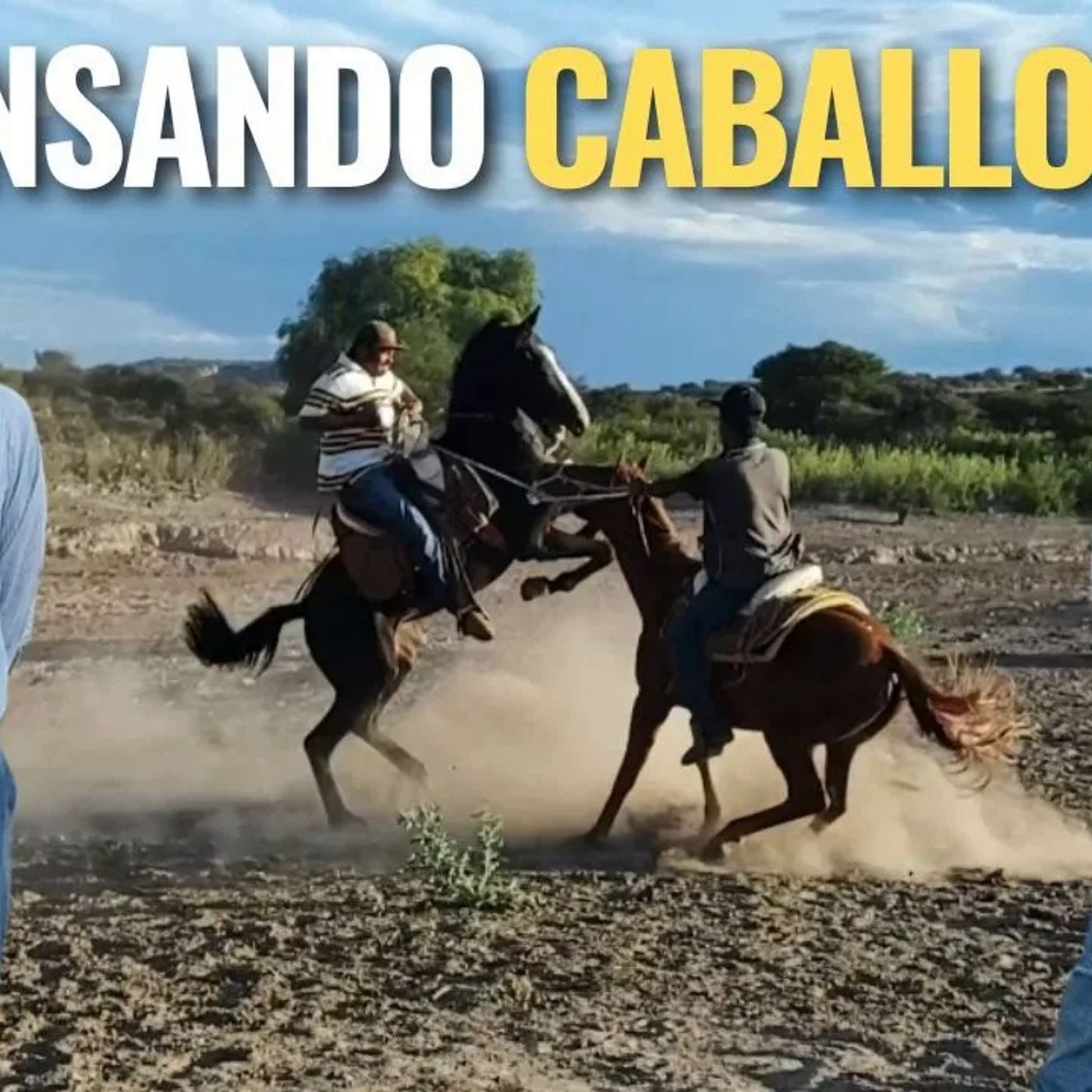 _NO ES NADA FACIL AMANSAR CABALLOS_