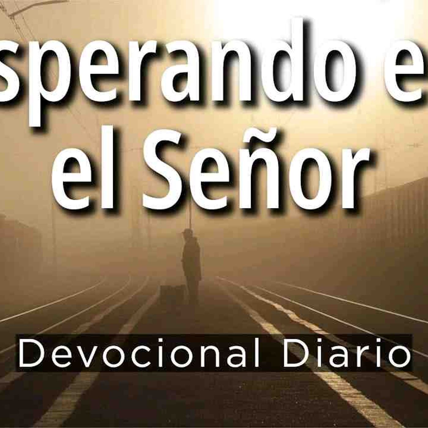 Espera en el Señor _ Esperando en Dios _ Espera en Jesús tu buen pastor(MP3_160K) episode artwork