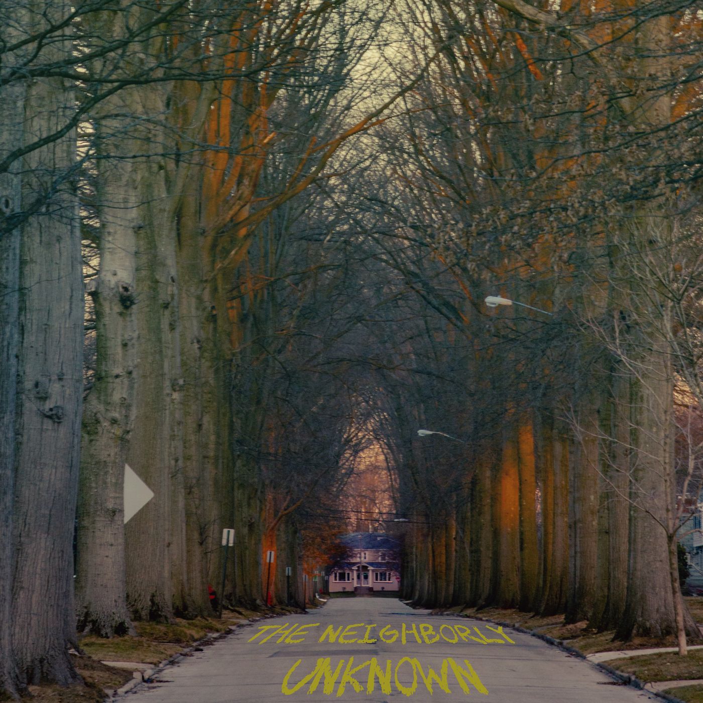 The Neighborly Unknown cover art