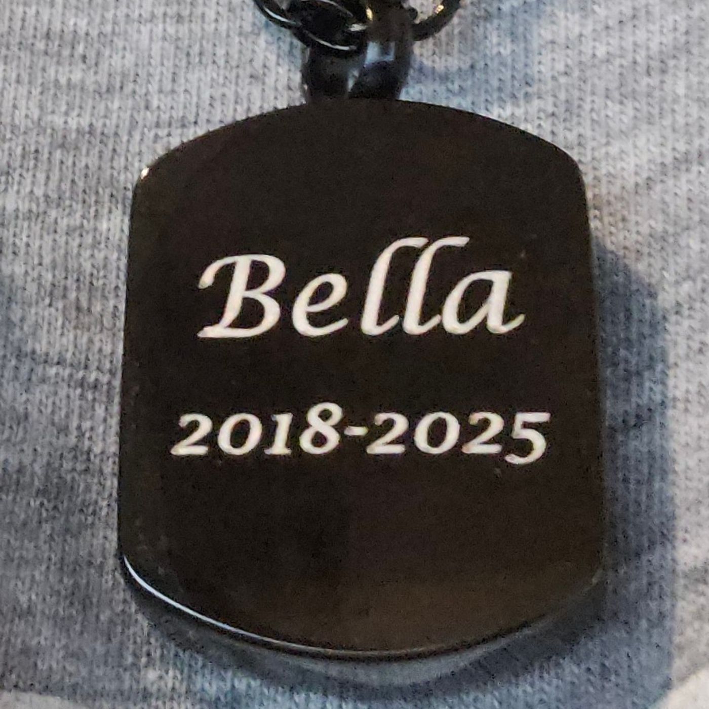 College of Champions Ep 37 - Changes